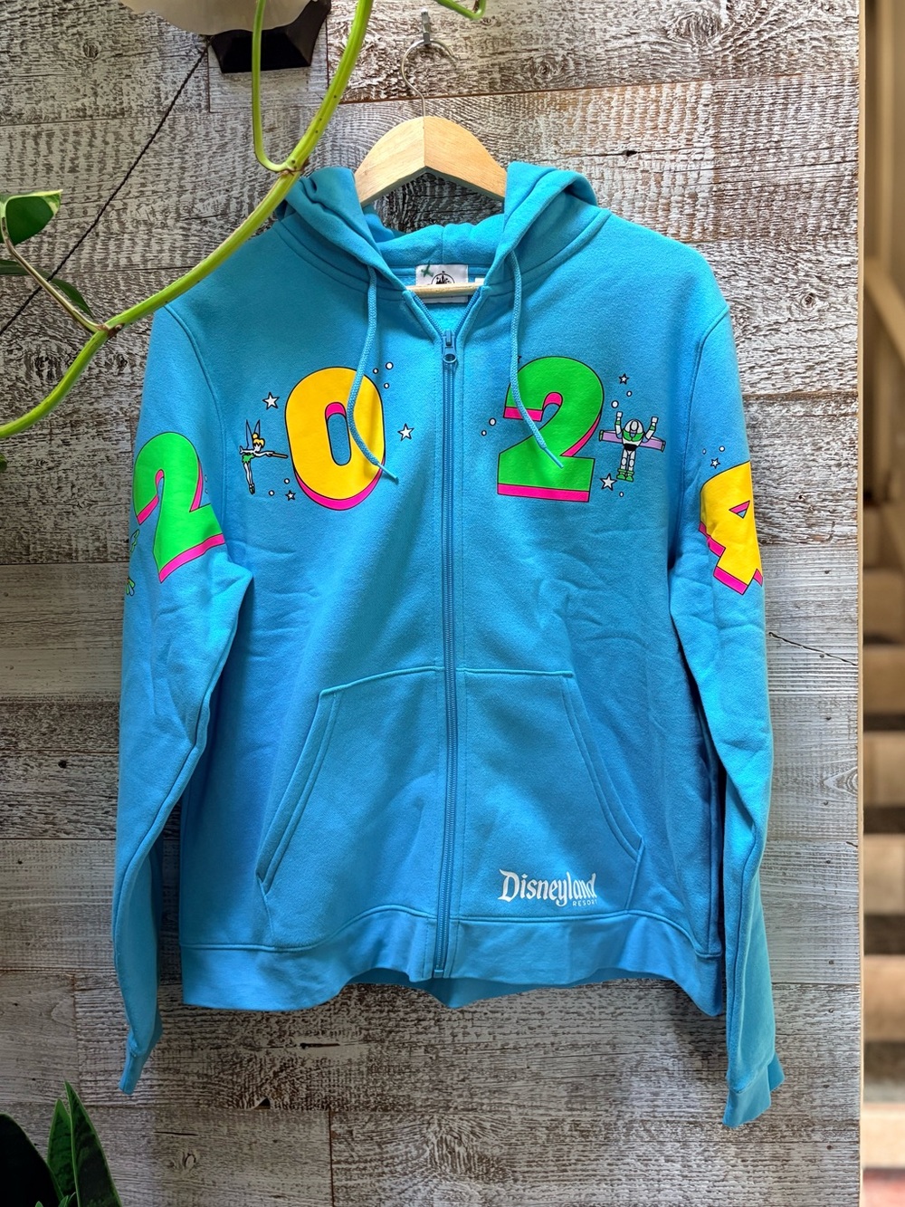 Disney | Official 2024 Disneyland Resort Full-Zip Hoodie - Unisex L, Bright Blue